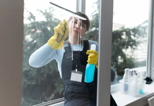 Nettoyage de vitres intérieures et extérieures à Ustou